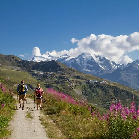 Mont-fort Swiss Vandrarhem *
