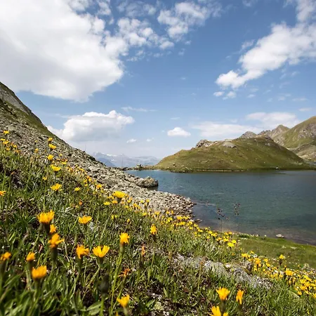 Vandrarhem Mont-fort Swiss *